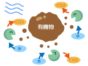 バイオトイレ　微生物　イラスト